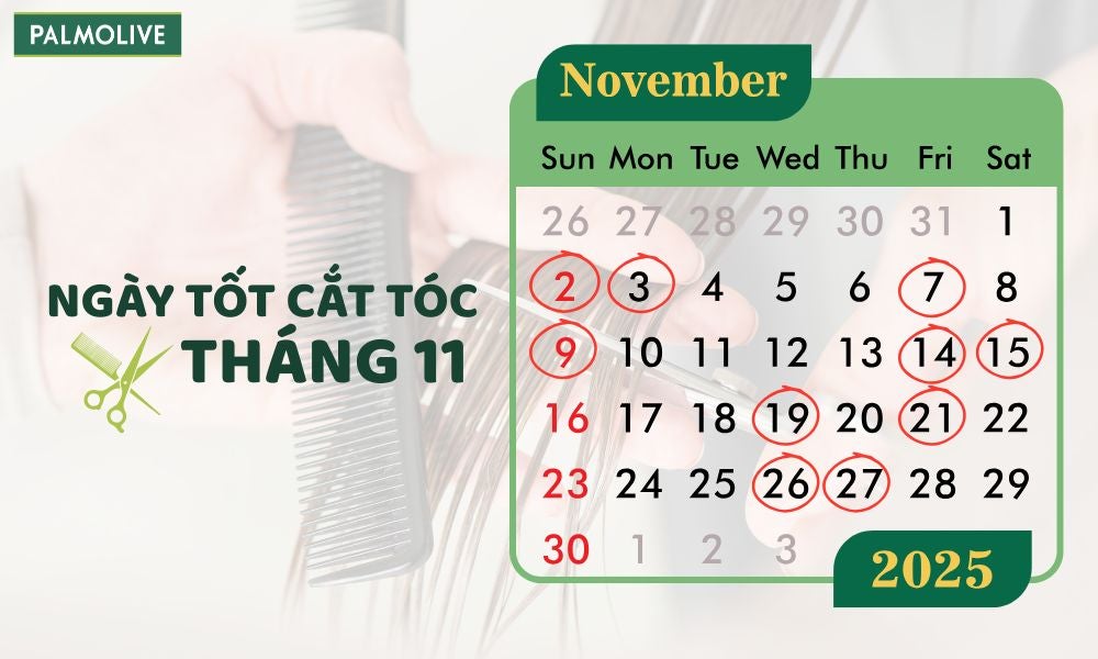 Palmolive - Chính - good-days-to-cut-hair-in-november-2025