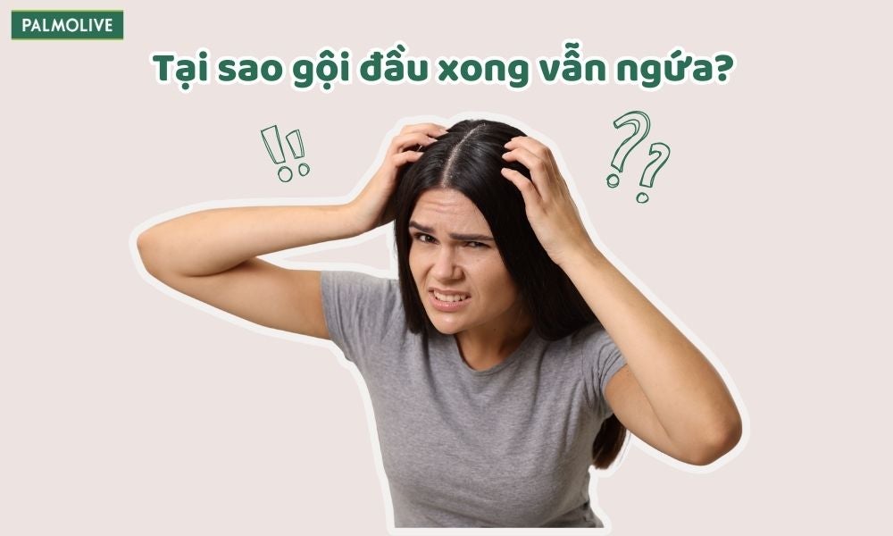 KW - tại sao gội đầu xong vẫn ngứa - why-does-my-scalp-still-itch-after-washing-hair