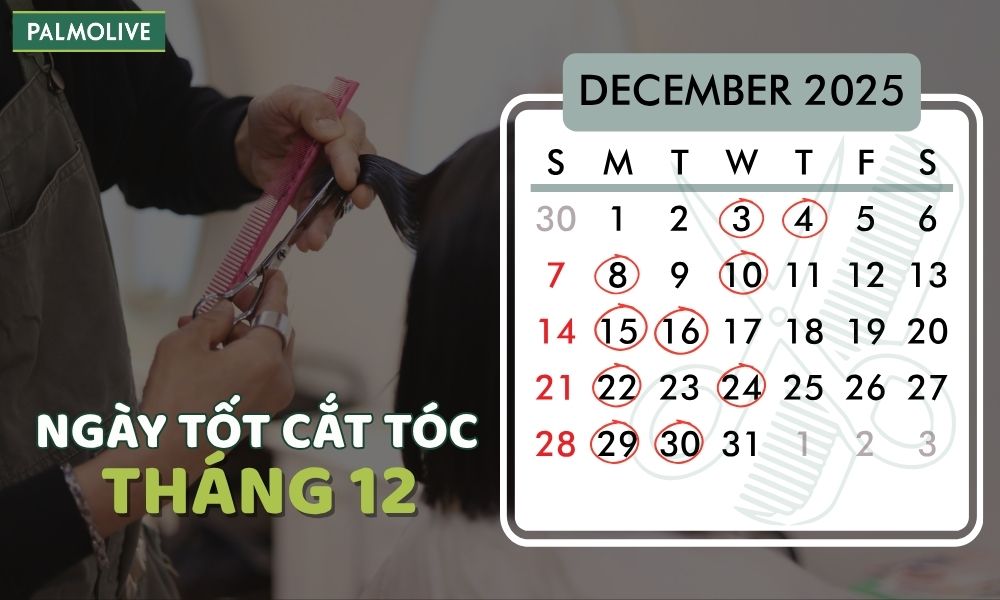 Palmolive - Chính - good-days-to-cut-hair-in-december-2025