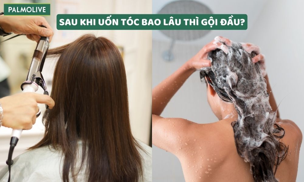 Palmolive - Chính - how-long-after-perm-to-wash-hair