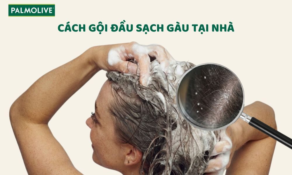 Cách gội đầu sạch gàu tại nhà giúp giảm ngứa da đầu hiệu quả