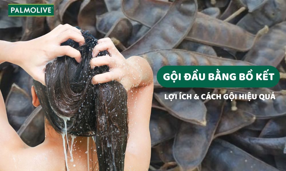 Cách gội đầu bằng bồ kết không bị bết tóc và kích thích mọc tóc nhanh