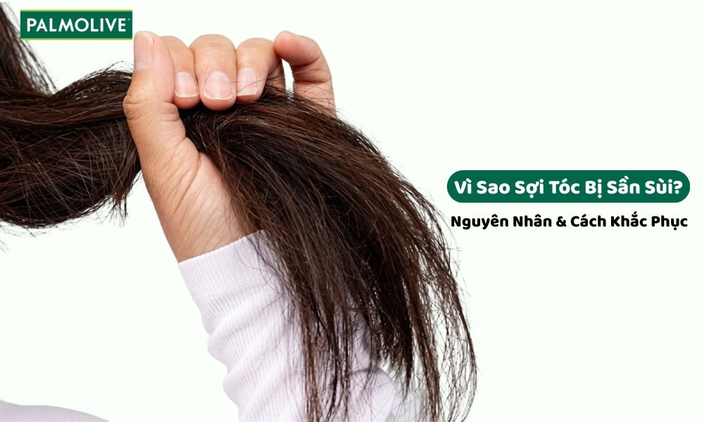 Pal_Thumbnail - rough-hair