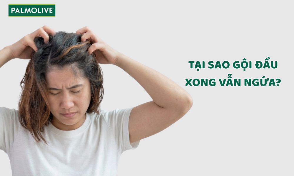 Pal_Thumbnail - why-does-my-scalp-still-itch-after-washing-hair