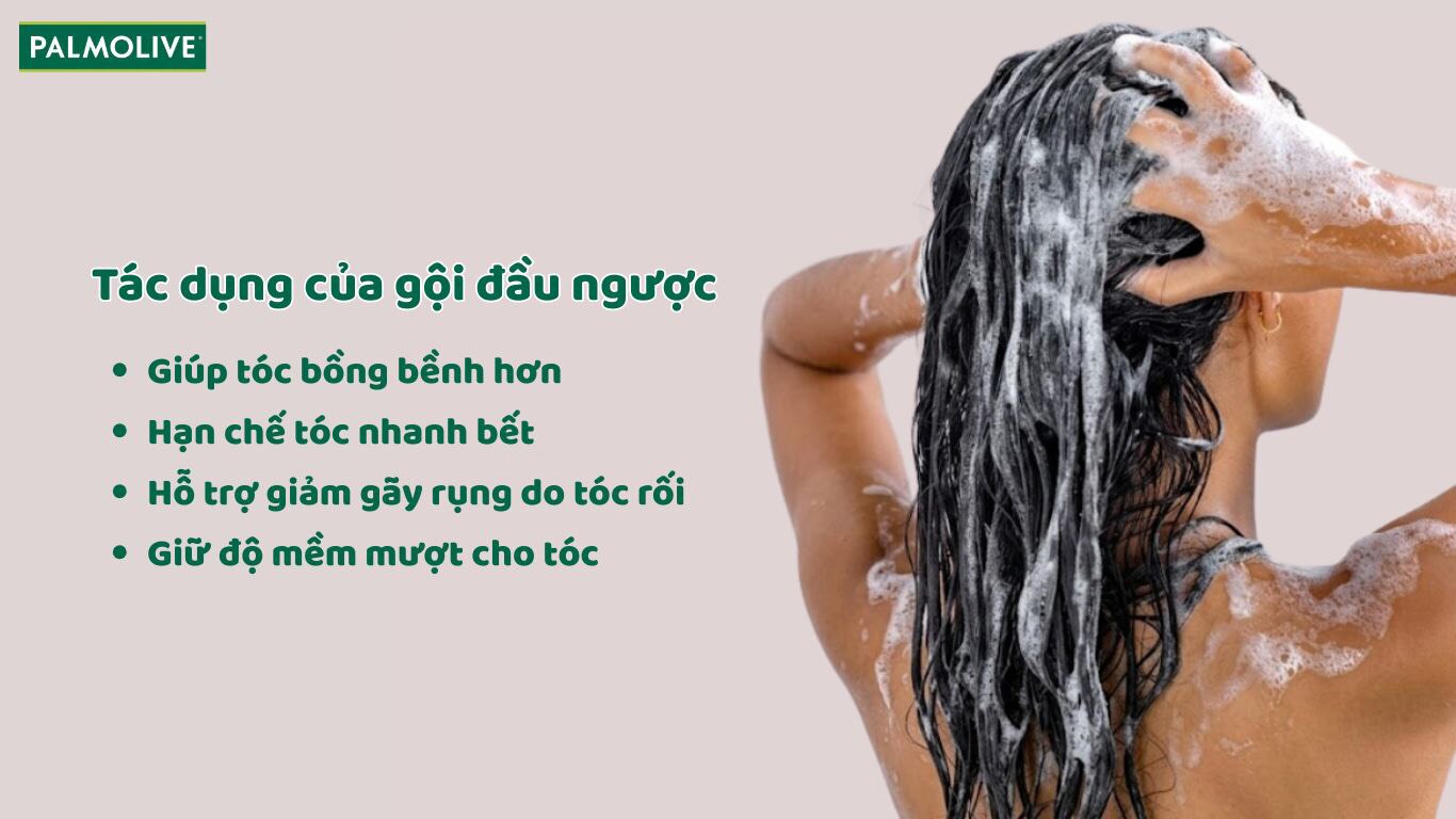Các lợi ích của phương pháp gội đầu ngược