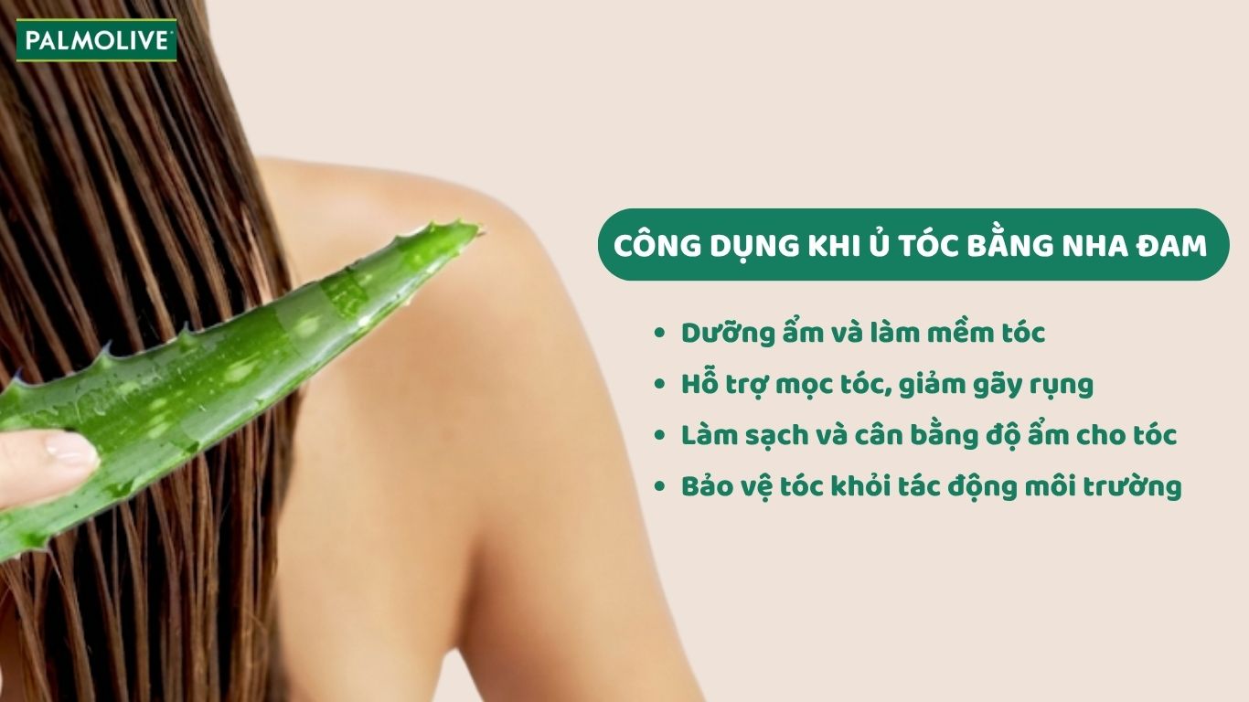 Các công dụng chính của ủ tóc bằng nha đam