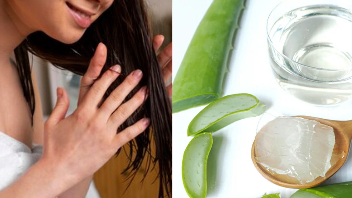 Hướng dẫn cách ủ tóc bằng nha đam nguyên chất