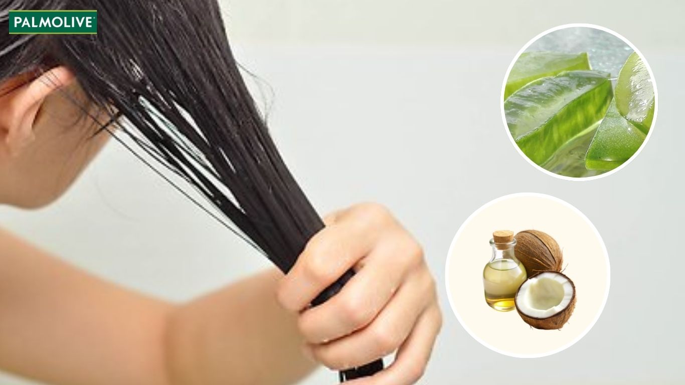 Hướng dẫn cách ủ tóc bằng nha đam và dầu dừa