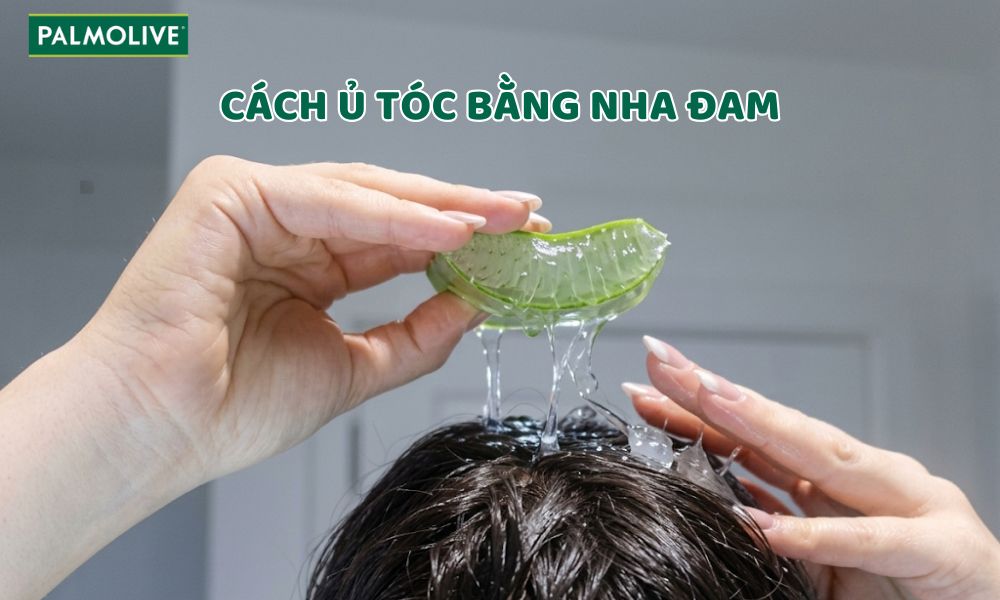5 Cách ủ tóc bằng nha đam kích thích mọc tóc, chắc khoẻ
