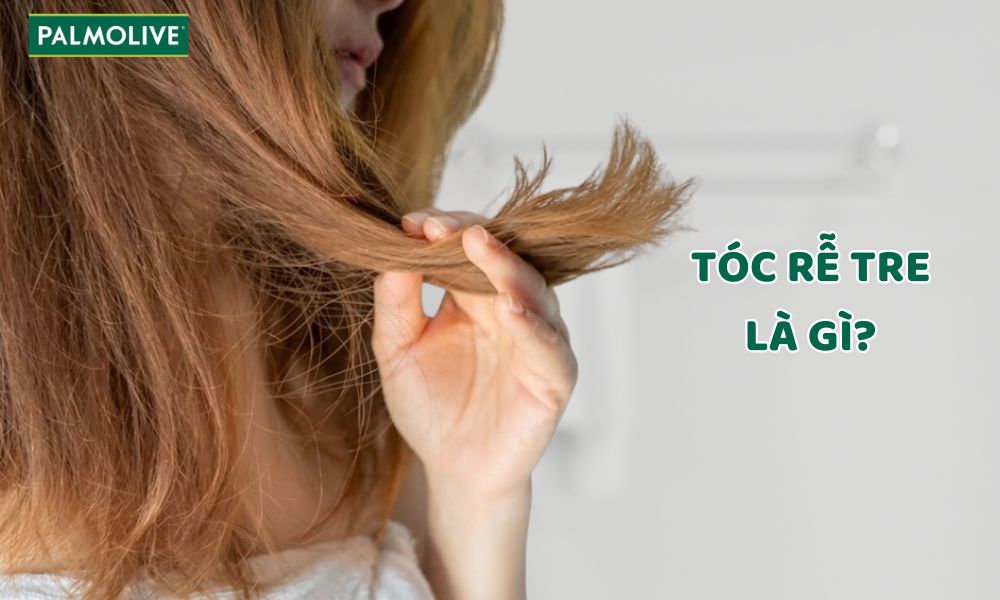 Tóc rễ tre