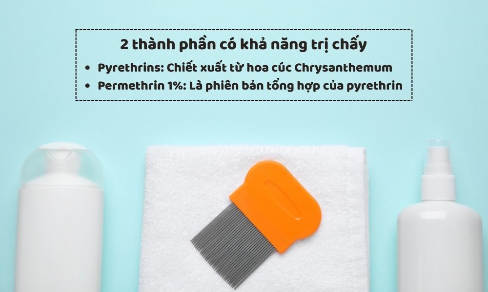Pyrethrins và Permethrin 1% là hai thành phần phổ biến trong dầu gội trị chấy