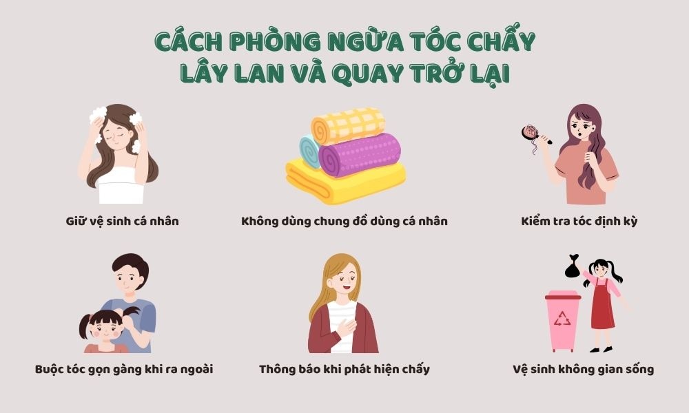 Cách ngăn ngừa tình trạng tóc chấy bị lây lan và tái nhiễm