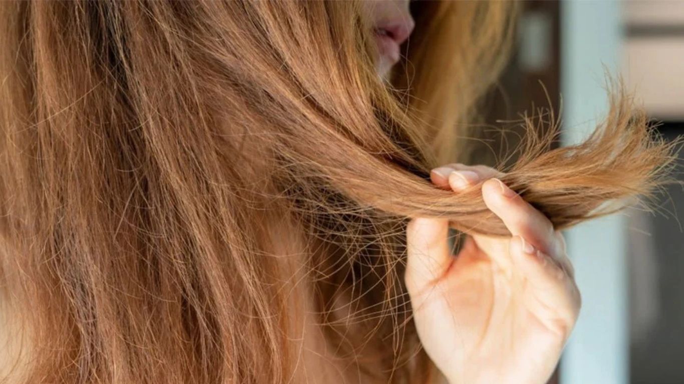 Tìm hiểu về các phương pháp phục hồi tóc khô xơ nhanh nhất 