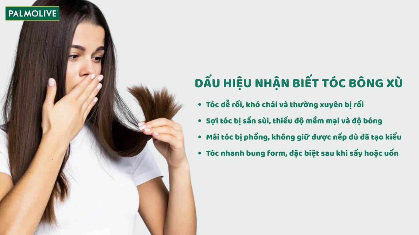 Các dấu hiệu nhận biết khi tóc bị bông xù 