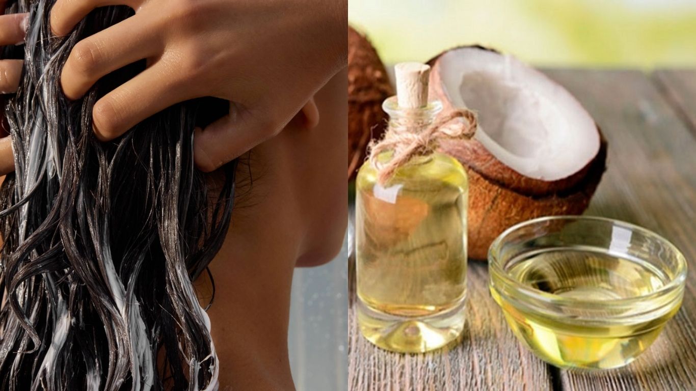 Khắc phục tình trạng tóc bông xù bằng cách ủ tóc bằng dầu dừa 