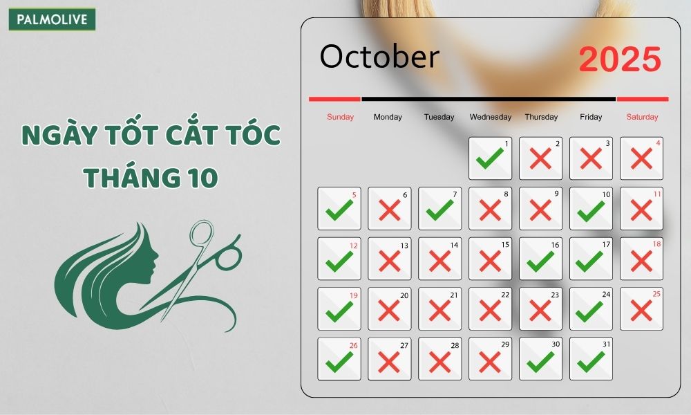 Lịch Cắt Tóc Tháng 10/2025 Chi Tiết, Đón May Mắn, Tránh Vận Xui