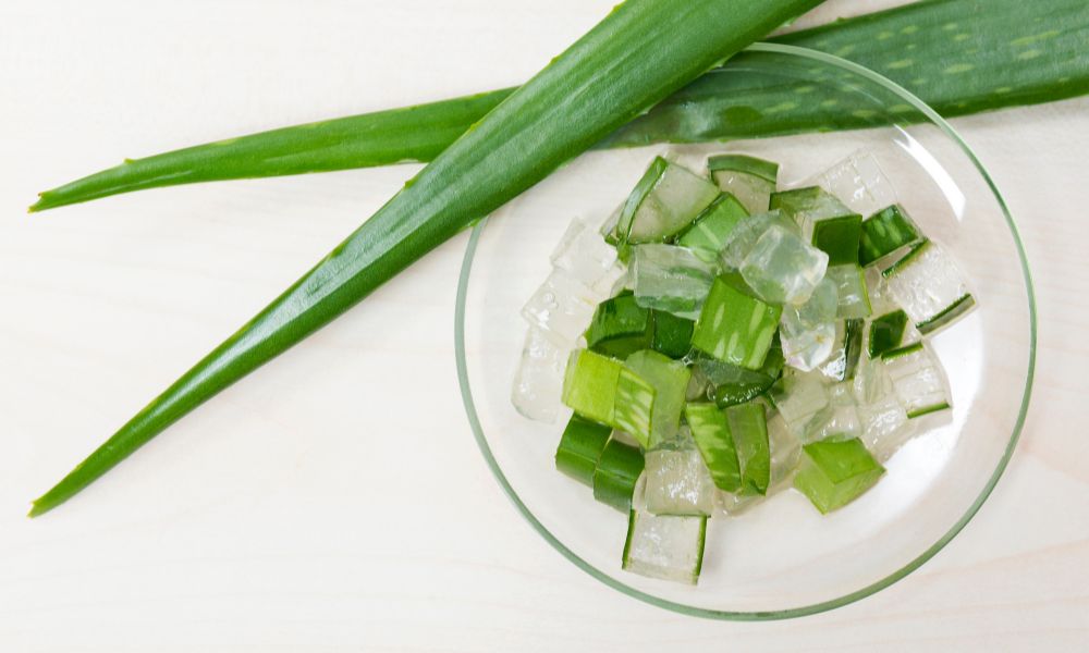 Cách khắc phục tóc bết bằng nha đam