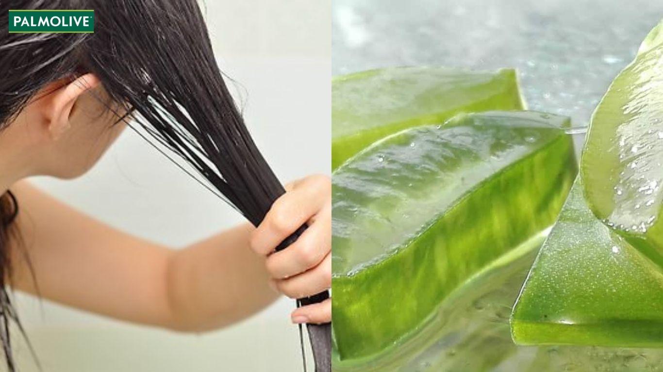 Khắc phục tình trạng tóc bết bằng nha đam