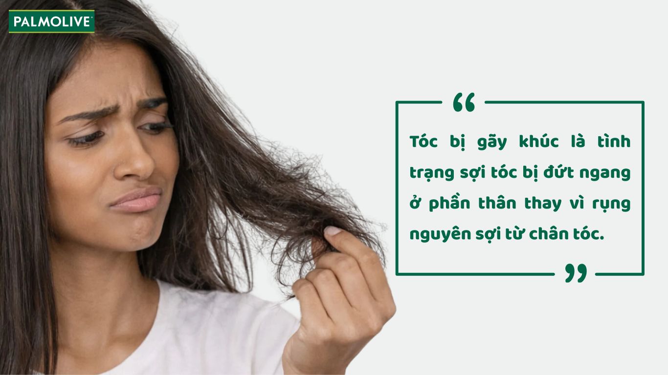 Cách nhận biết tóc bị gãy khúc