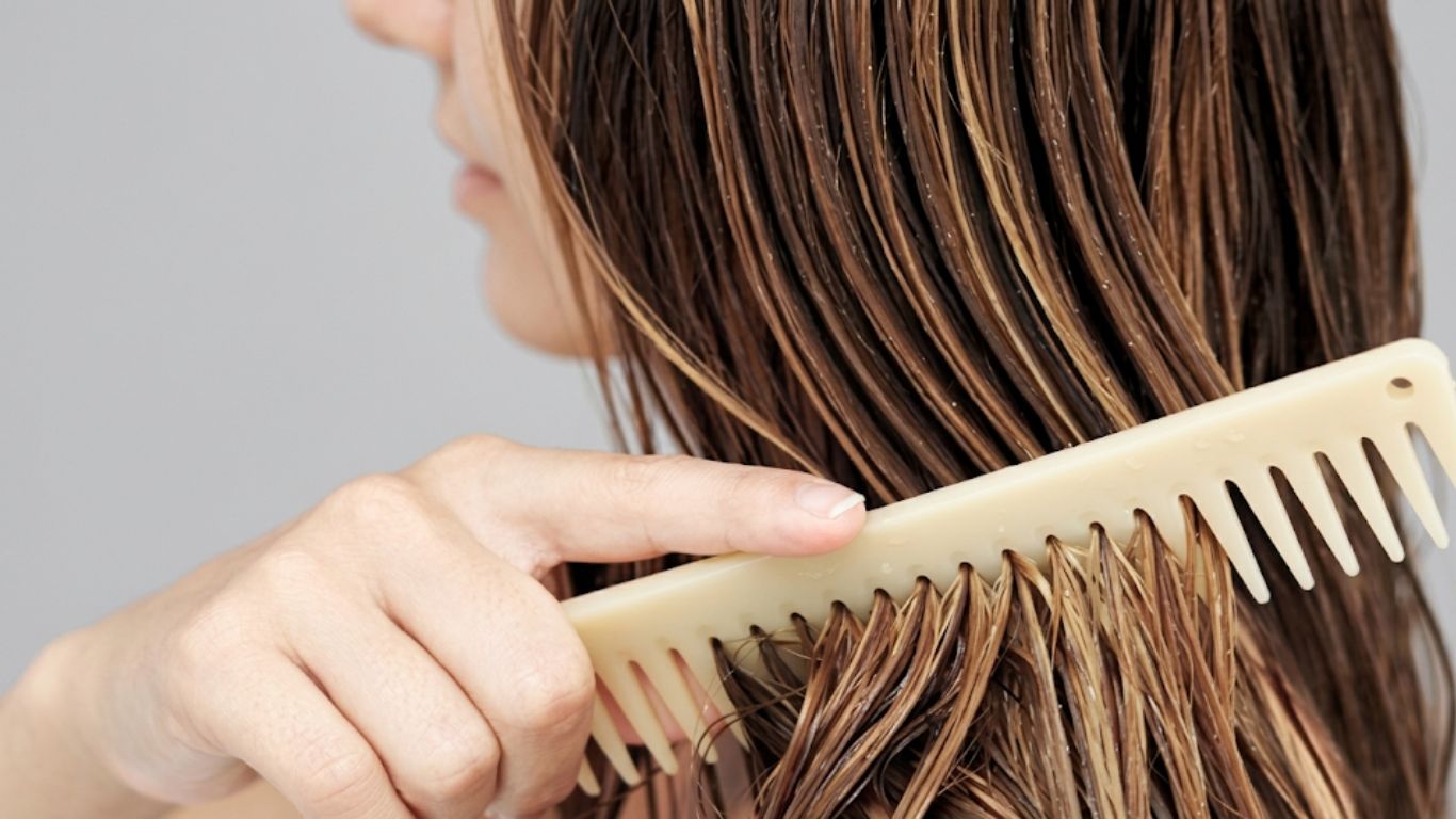Tóc bị gãy khúc do chải tóc khi tóc còn ướt