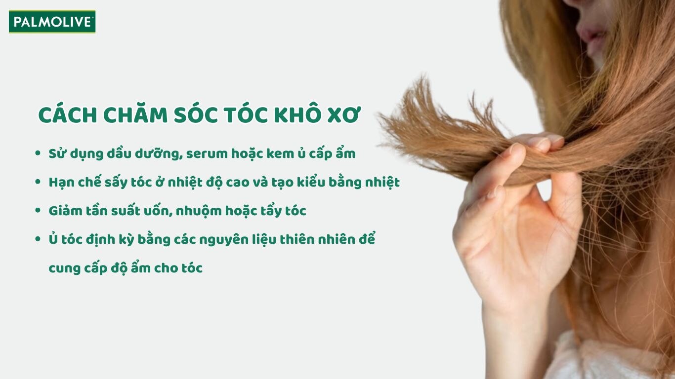 Hướng dẫn cách chăm sóc tóc khô xơ 