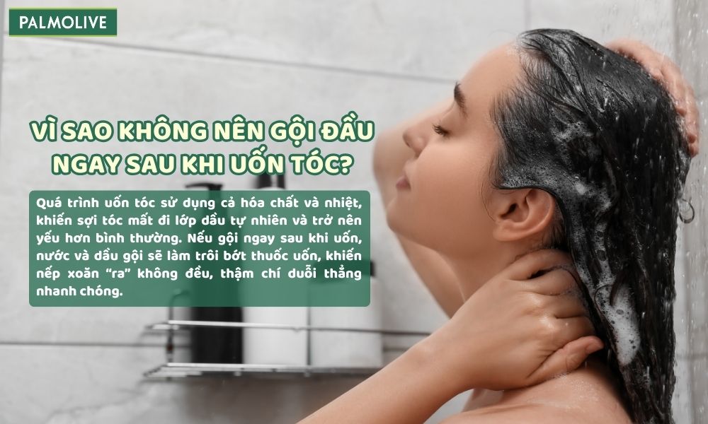 Gội đầu ngay sau khi uốn tóc làm trôi lớp thuốc uốn, khiến nếp uốn duỗi nhanh chóng