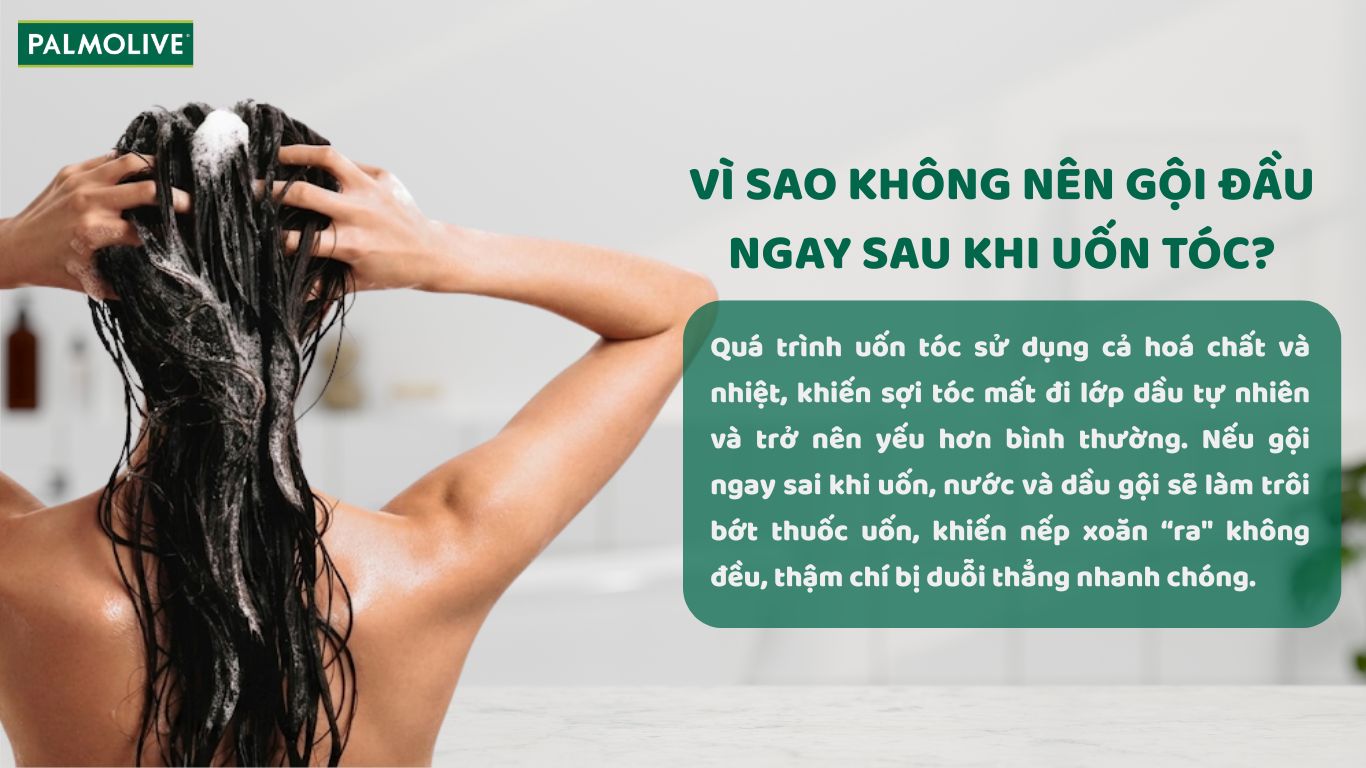 Lý do không nên gội đầu ngay sau khi uốn tóc