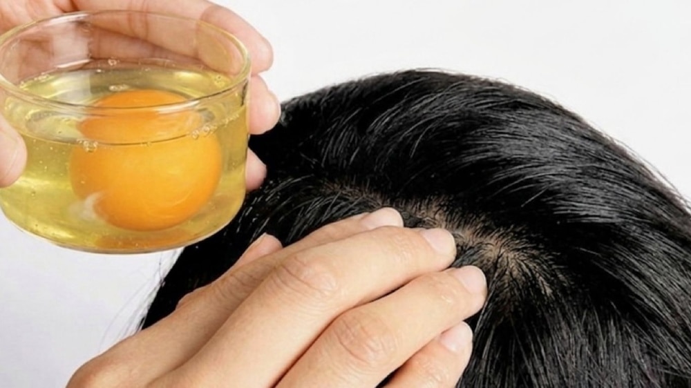 Cách ủ tóc tại nhà cùng trứng gà