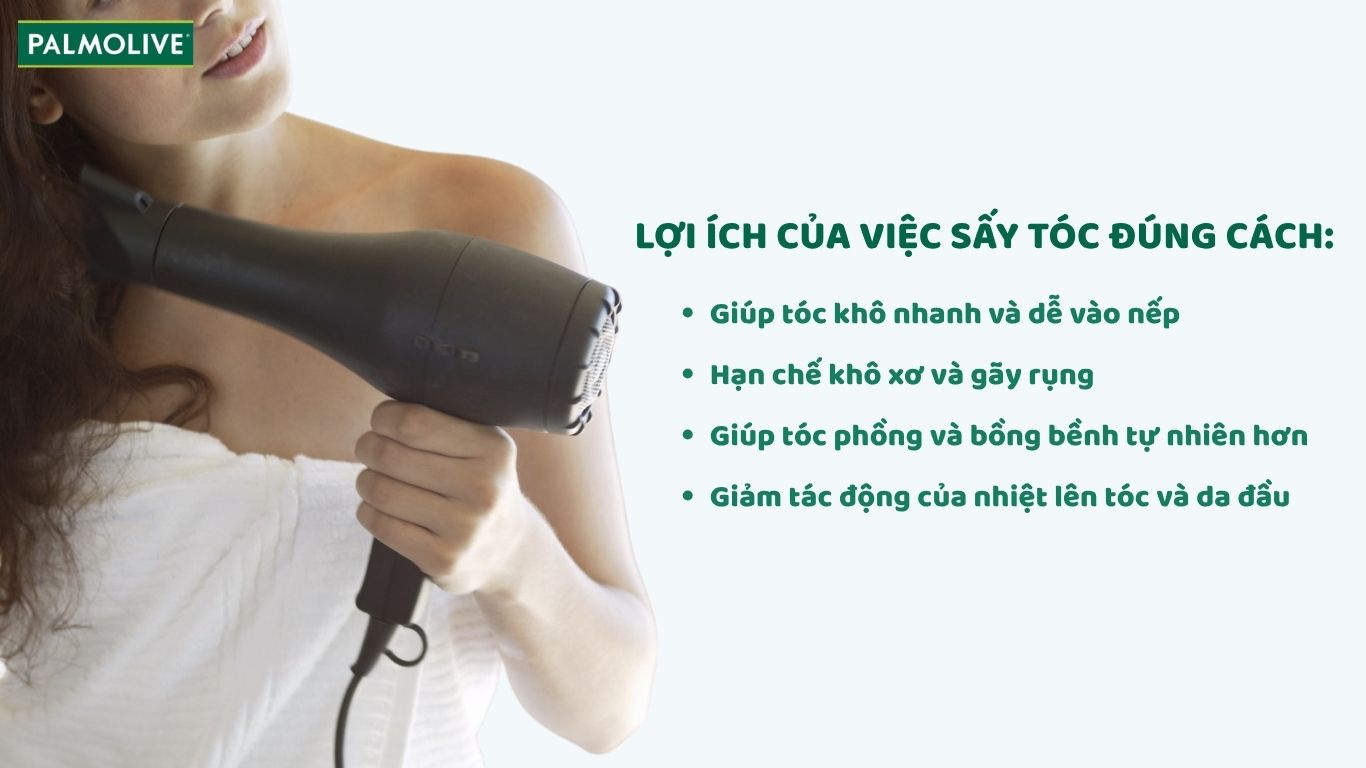 Các lợi ích chính của việc sấy tóc đúng cách mang lại 