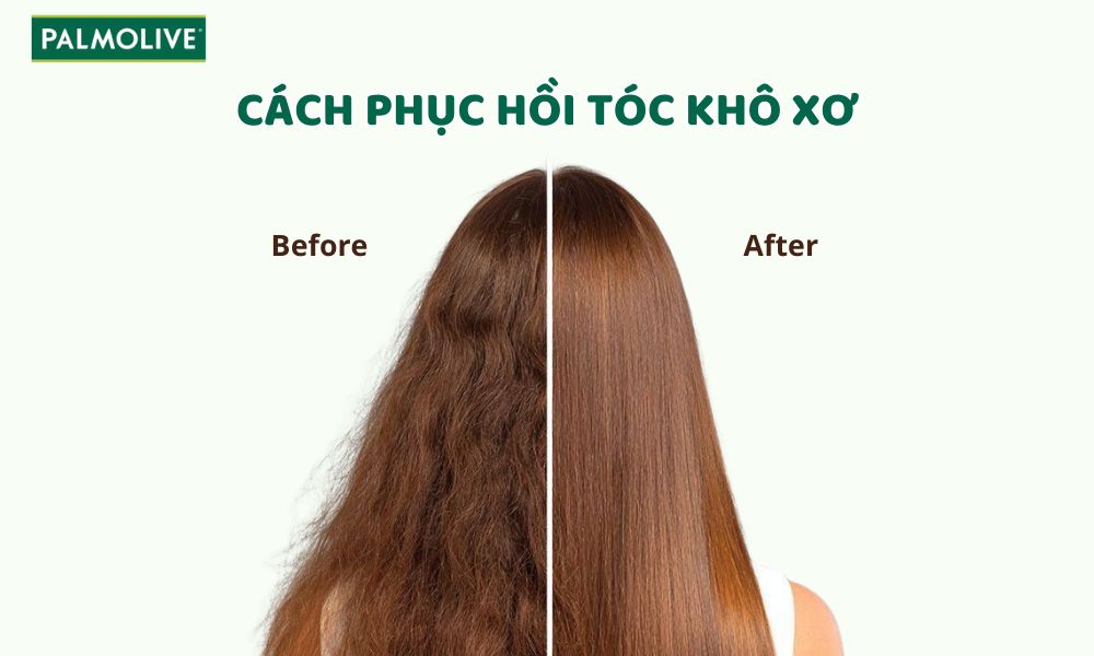 10 Cách Phục Hồi Tóc Khô Xơ Nhanh Chóng, Hiệu Quả Tại Nhà