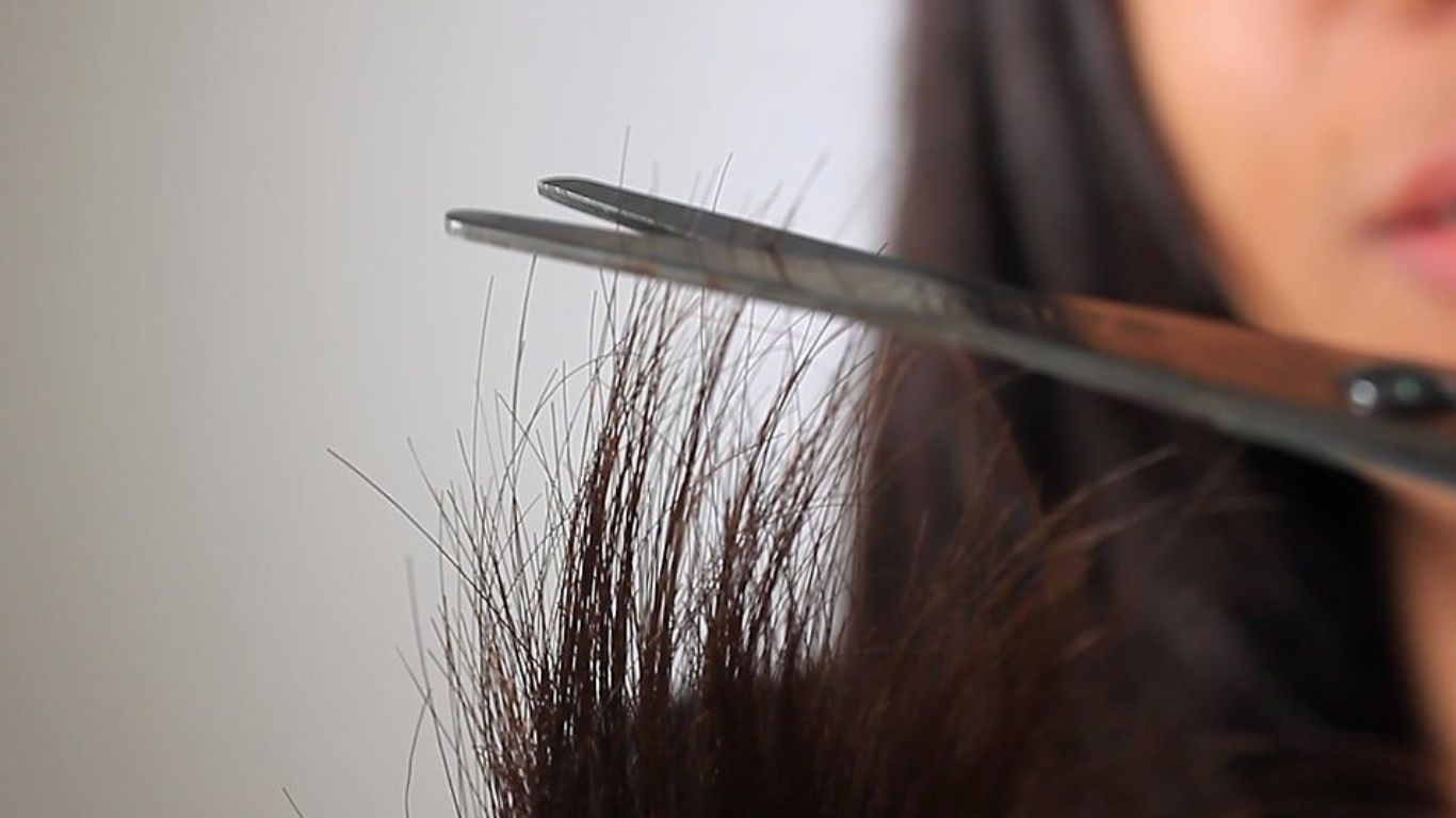 Khắc phục tình trạng tóc vểnh bằng cách tỉa phần tóc hư tổn 