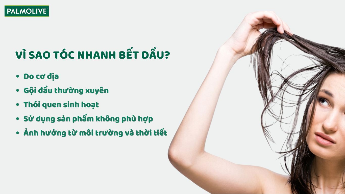 Tìm hiểu các nguyên nhân làm tóc nhanh bết