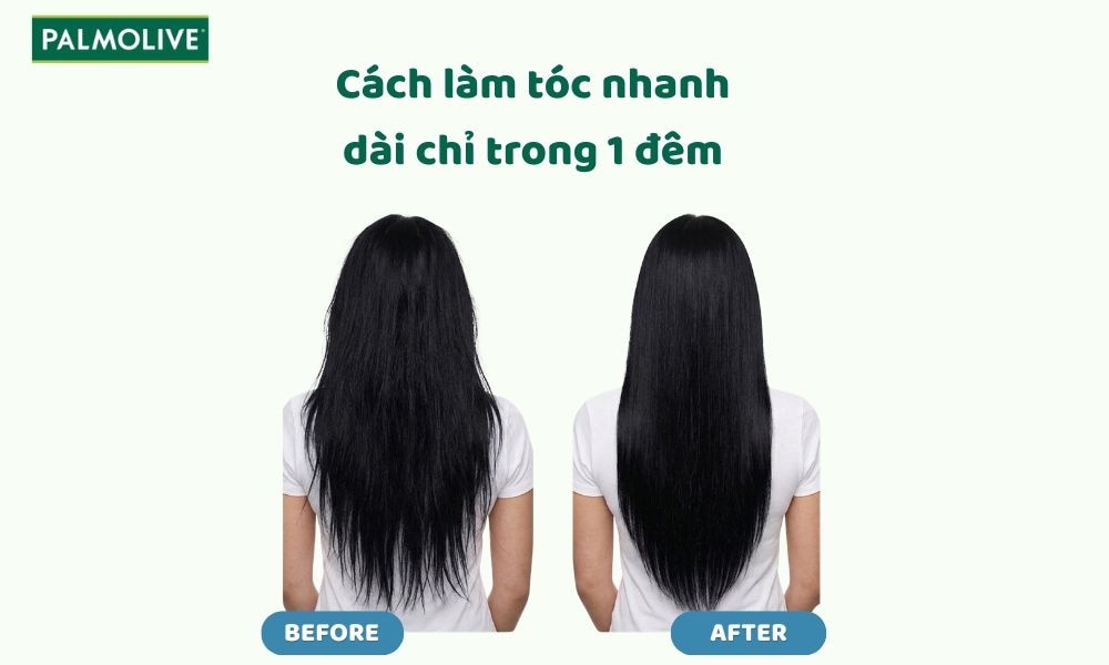 10 Cách làm tóc nhanh dài chỉ trong 1 đêm, cấp tốc cho nữ