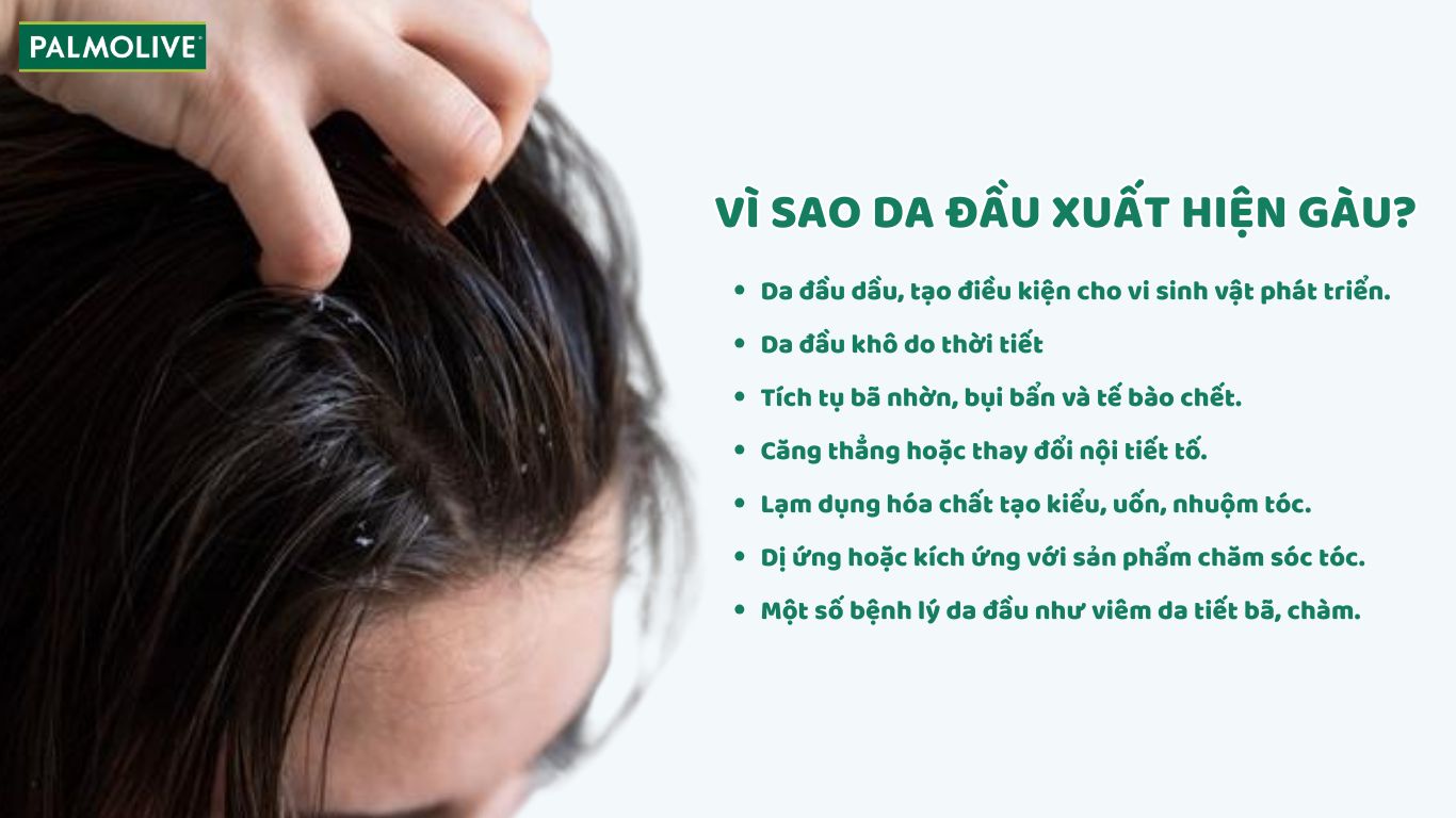 Nguyên nhân khiến da đầu xuất hiện gàu