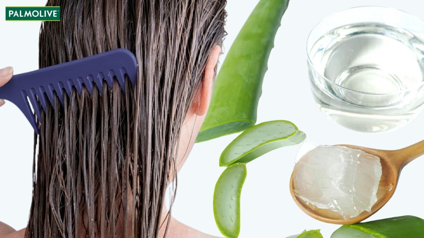 Cách gội đầu sạch gàu bằng gội đầu bằng nha đam