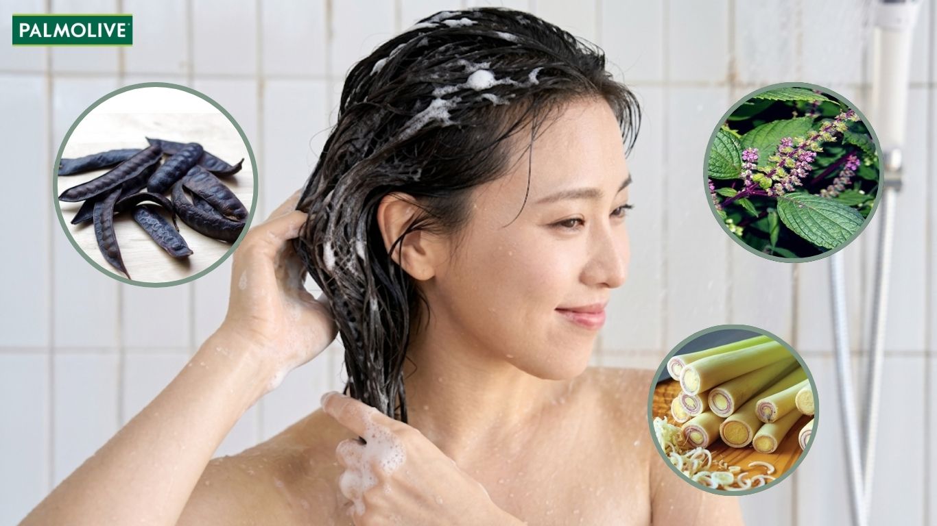 Hướng dẫn cách gội đầu bằng bồ kết với hương nhu hoặc xả 