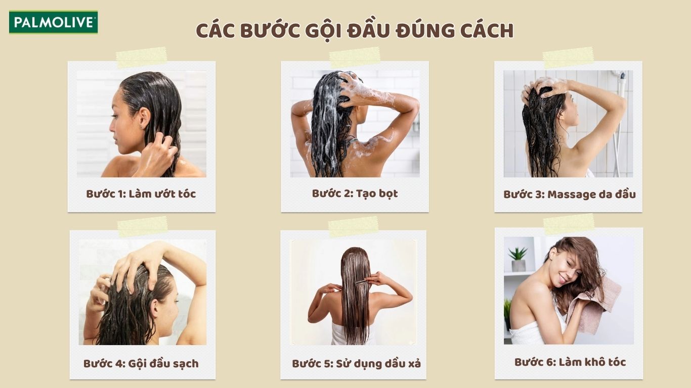 Hướng dẫn các bước gội đầu đúng cách 
