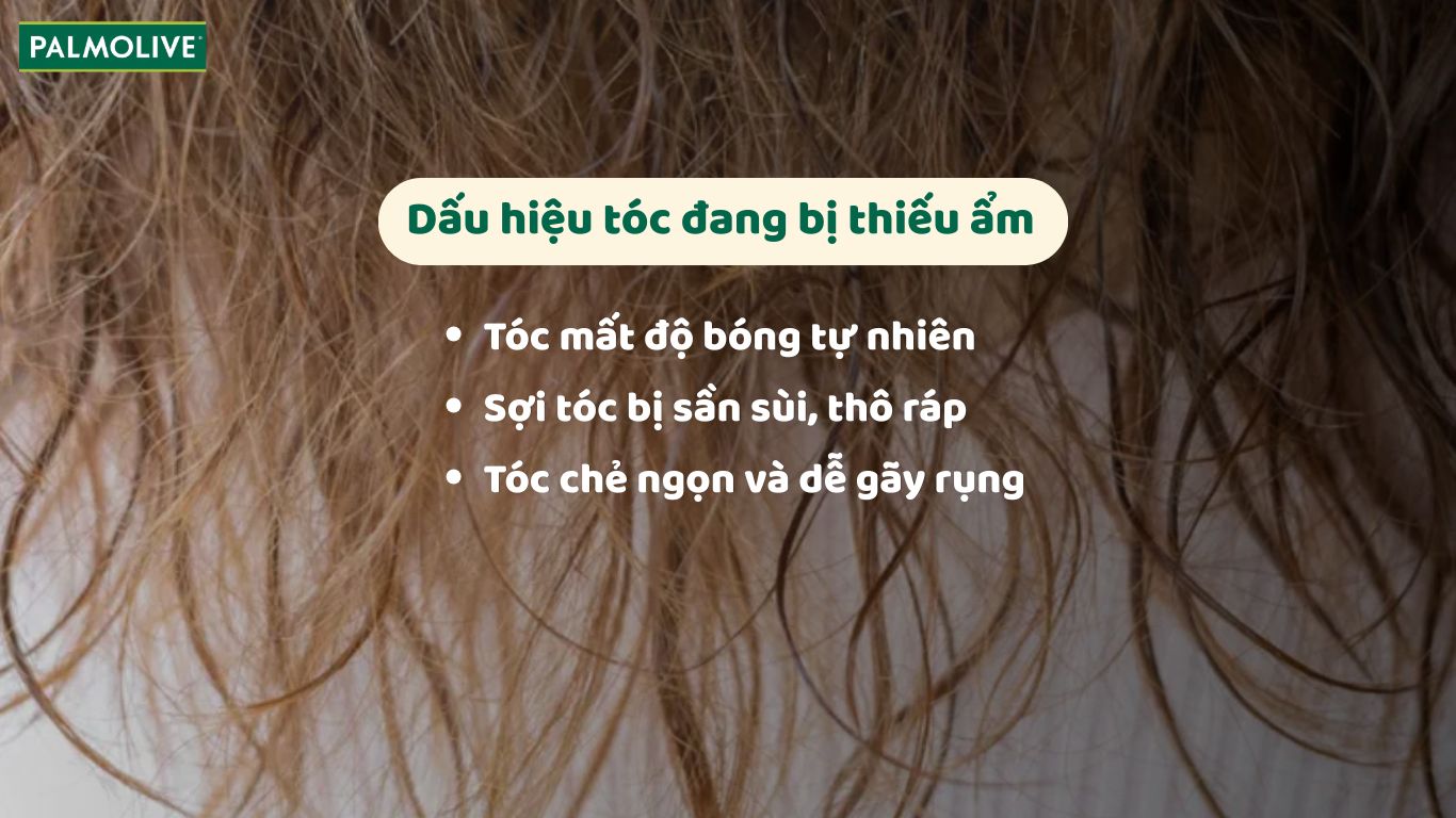 Các dấu hiệu nhận biết tóc đang bị thiếu độ ẩm