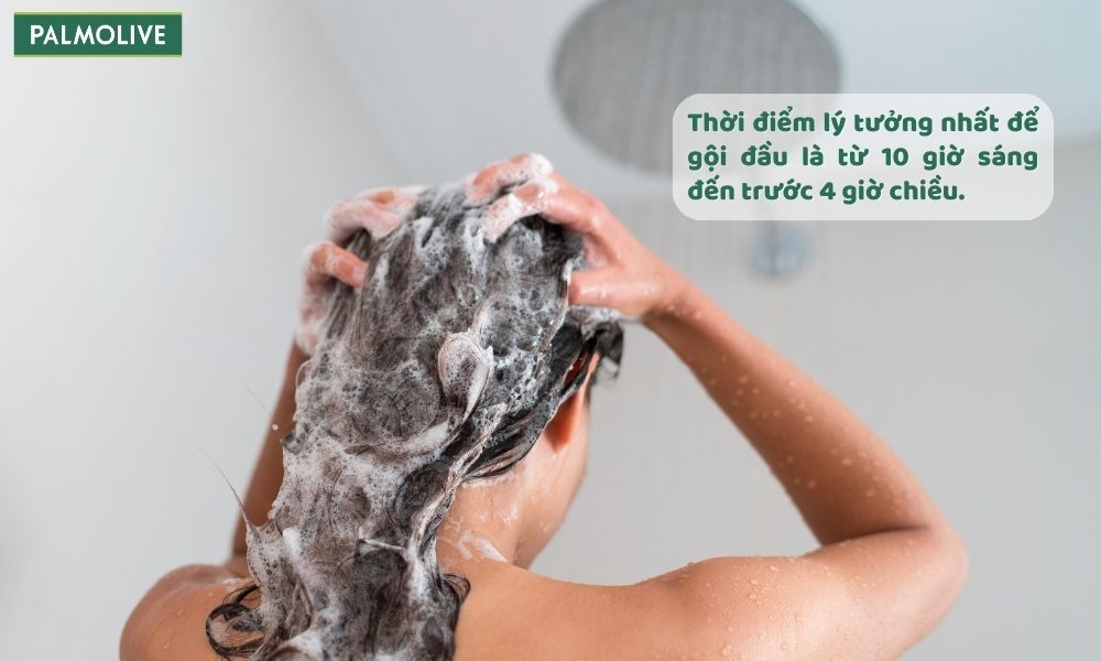 Nên gội đầu vào lúc nào