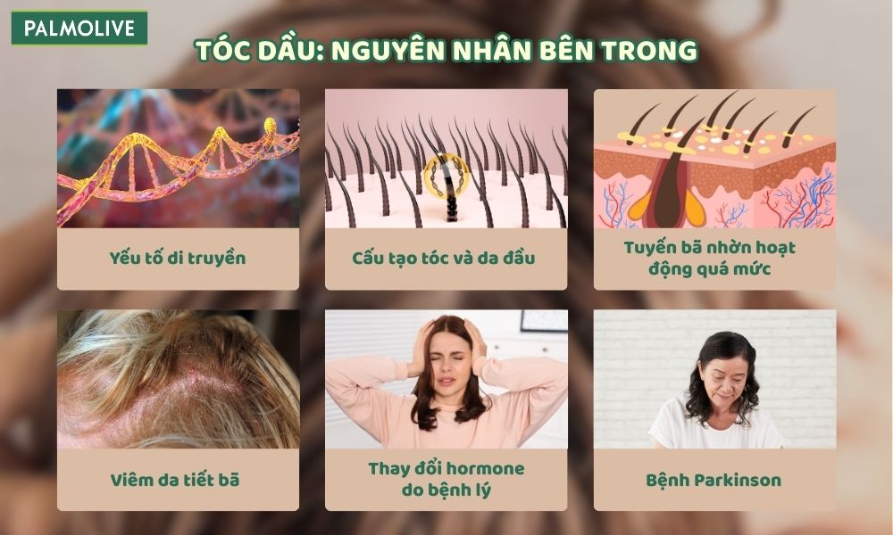 Cơ địa và tình trạng cơ thể là yếu tố ảnh hưởng đến khả năng tiết dầu trên tóc và da đầu