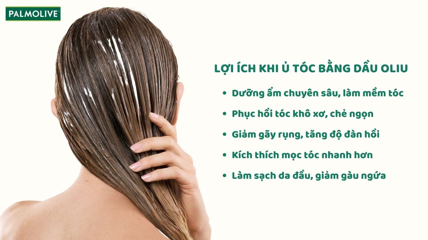 Công dụng khi ủ tóc bằng dầu oliu