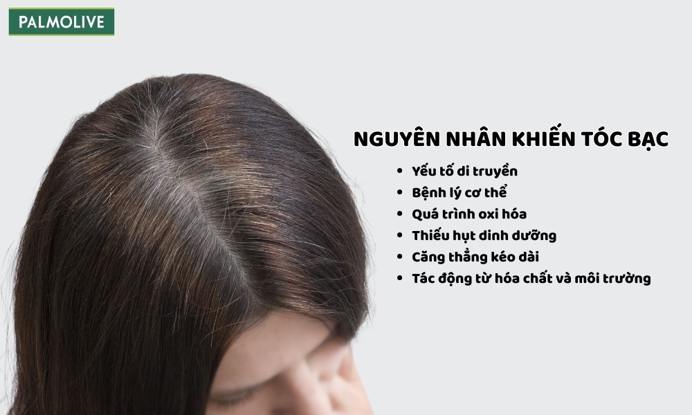 Nguyên nhân dẫn đến tình trạng tóc bạc 