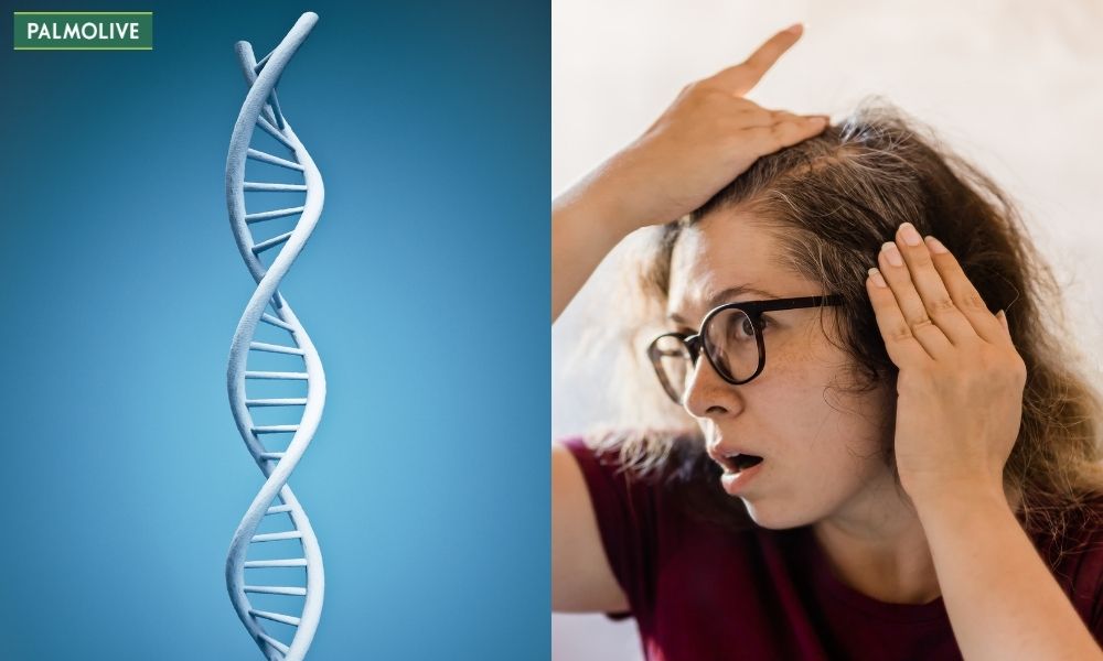 Di truyền là yếu tố quan trọng quyết định tốc độ xuất hiện tóc bạc ở mỗi người 