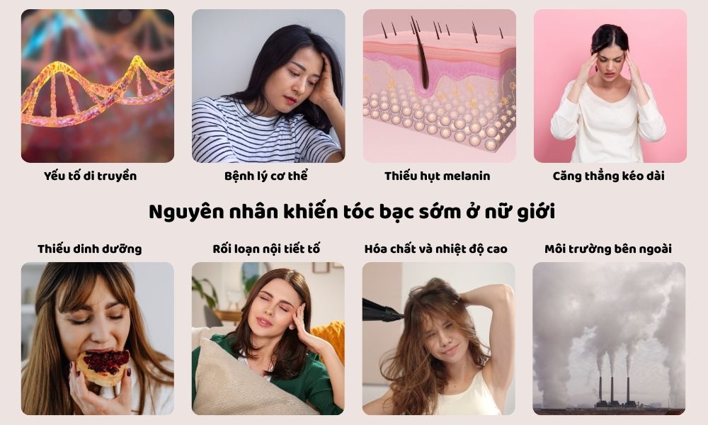 Các nguyên nhân khiến tóc bạc sớm ở nữ giới
