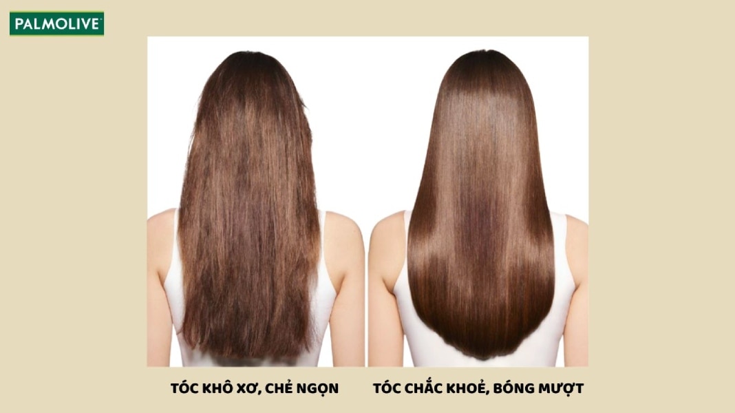 Tóc khô xơ và tóc bóng mượt, chắc khoẻ