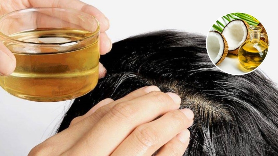Phục hồi tóc hư tổn hiệu quả bằng cách ủ tóc bằng dầu dừa