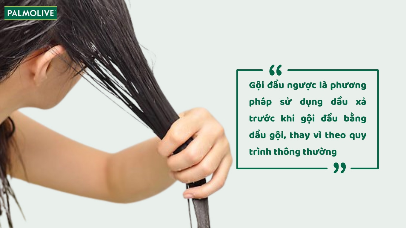 Tìm hiểu về phương pháp gội đầu ngược