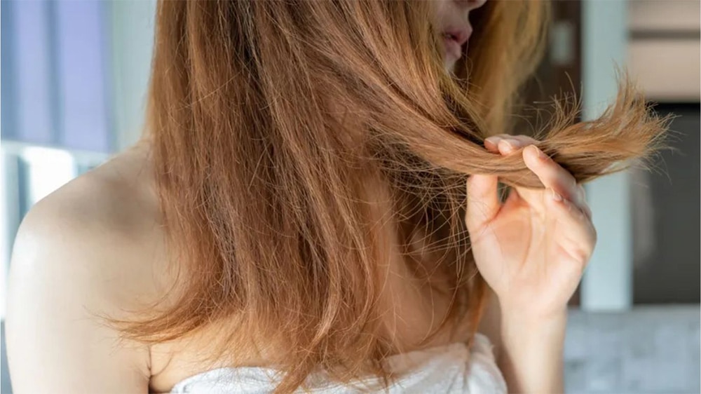 Tóc bị sần sùi là sợi tóc bị khô xơ và bị mất độ bóng mượt tự nhiên