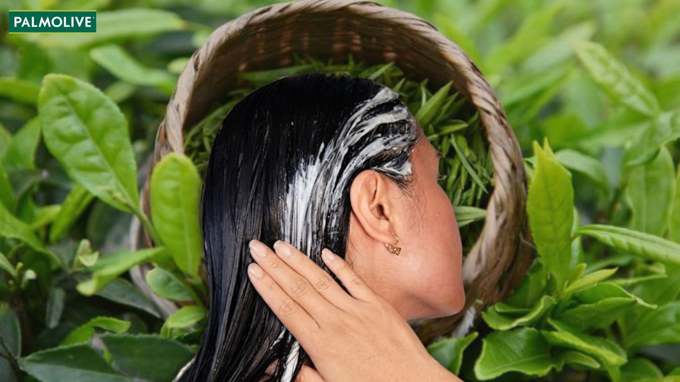 Hướng dẫn detox da đầu bằng trà xanh 
