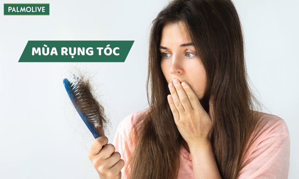 Mùa Rụng Tóc Vào Tháng Mấy? Cách Chăm Sóc Tóc Vào Mùa Rụng Tóc Hiệu Quả